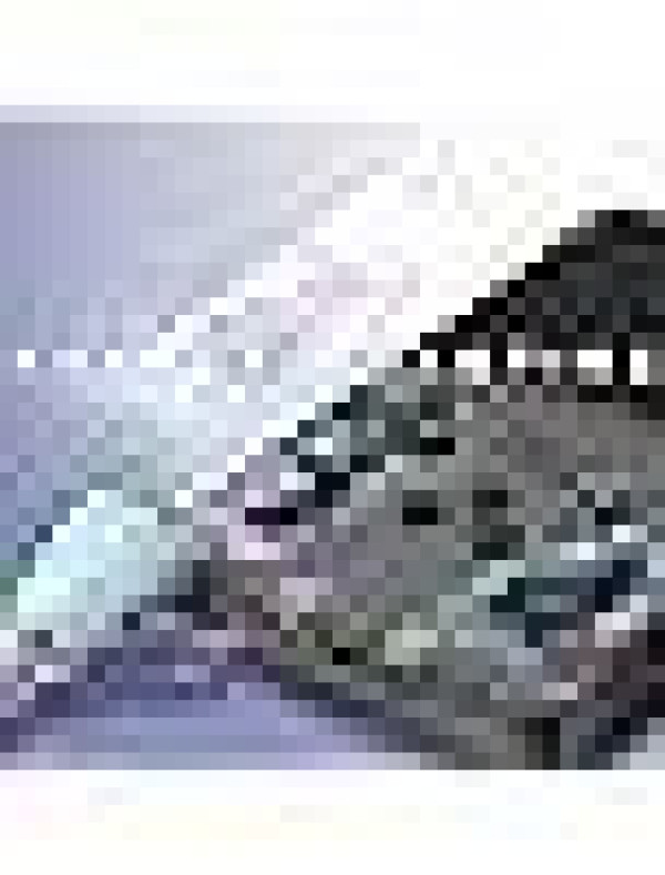 New World R36S Retro Handheld Video}