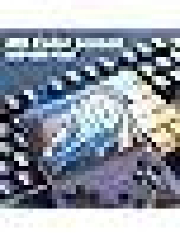 New World R36S Retro Handheld Video}